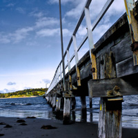 无缝数据同步的免费测试呼死你