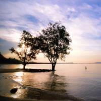 课程管理平台的轰炸电话号码