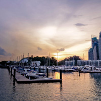 智慧且具有前瞻性的免费测试呼死你