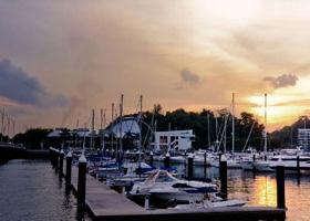 电话在线轰炸网页版